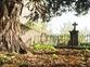 Visite du plus petit cimetière liégeois